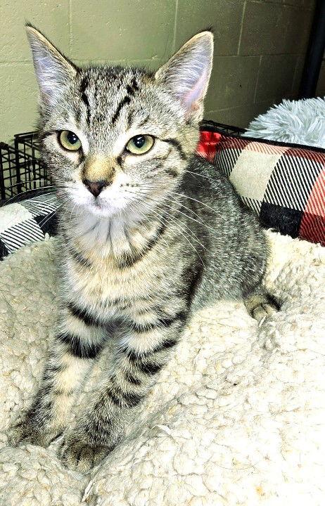 Melinda — thumbnail 2