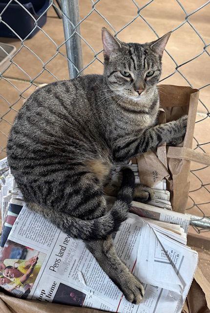 Melinda — thumbnail 3