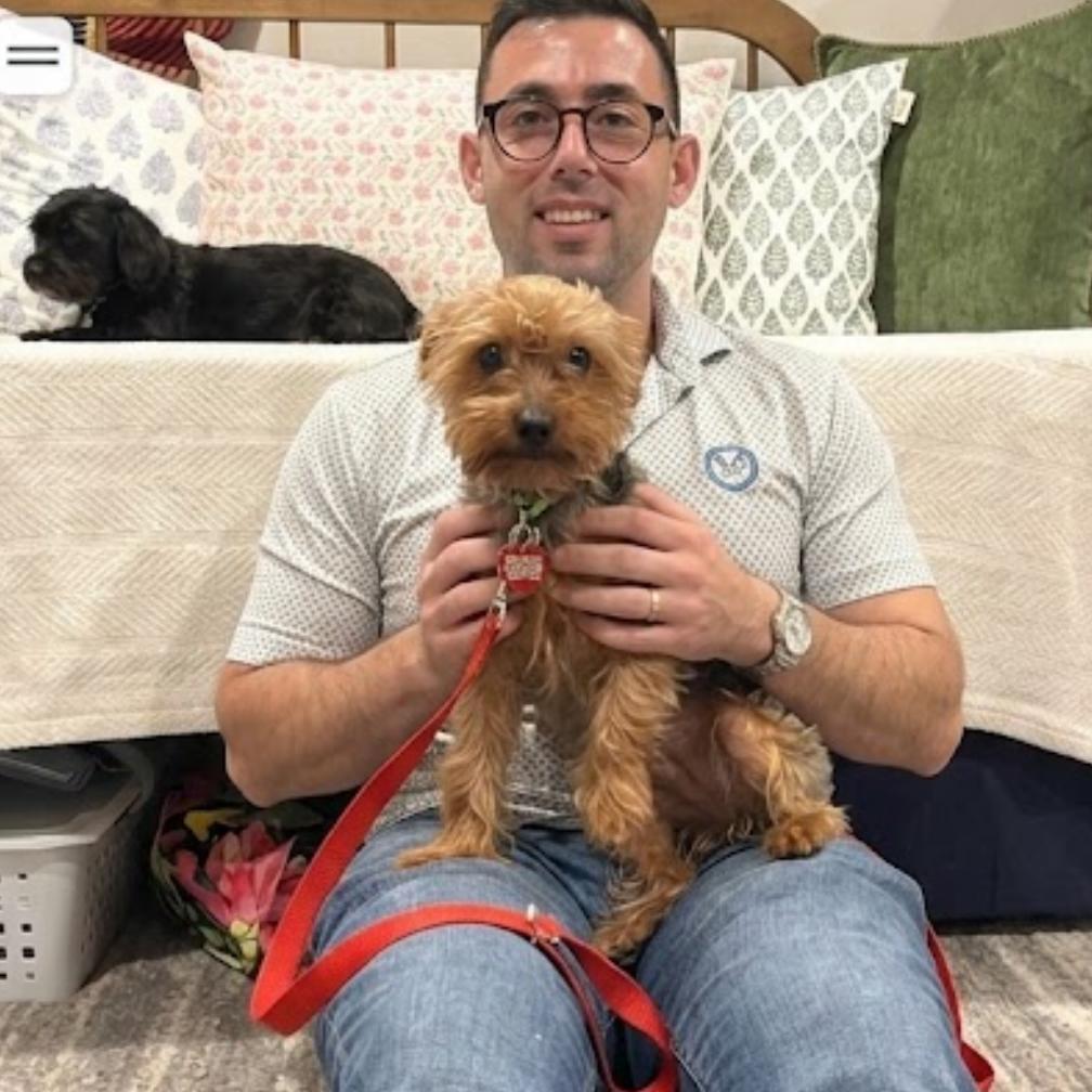 Enlarge CASCADE, a Adoptable Yorkshire Terrier in Berlin, NJ image 4/4
