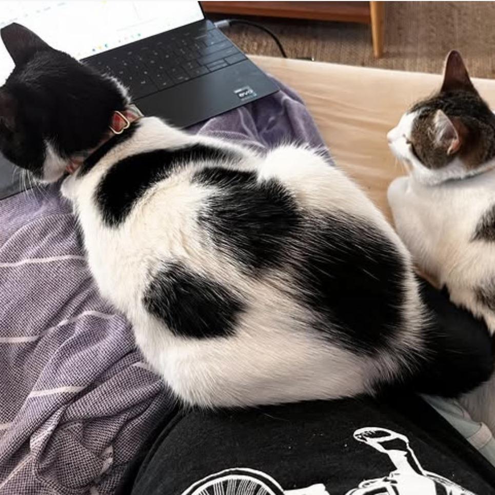 Kleo — thumbnail 2