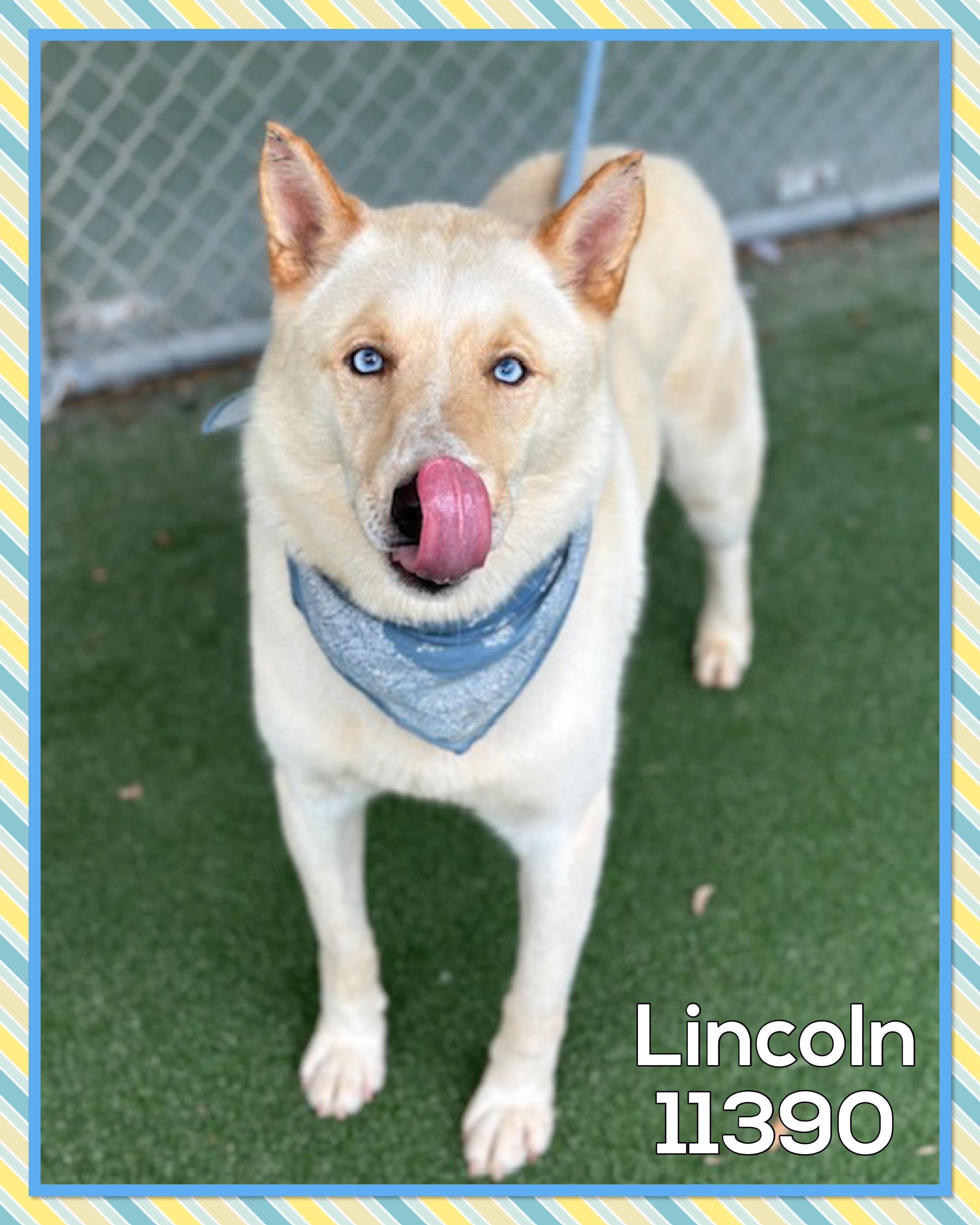 LINCOLN