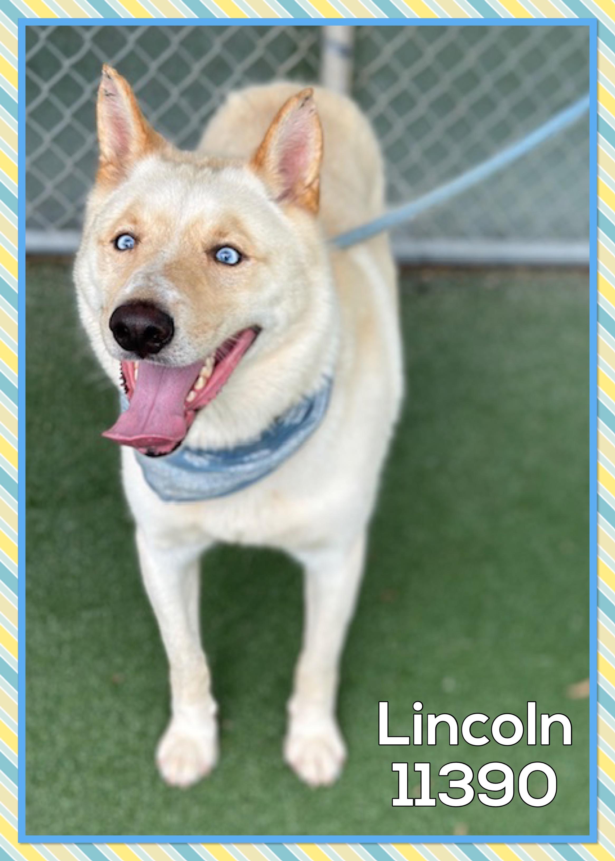 LINCOLN