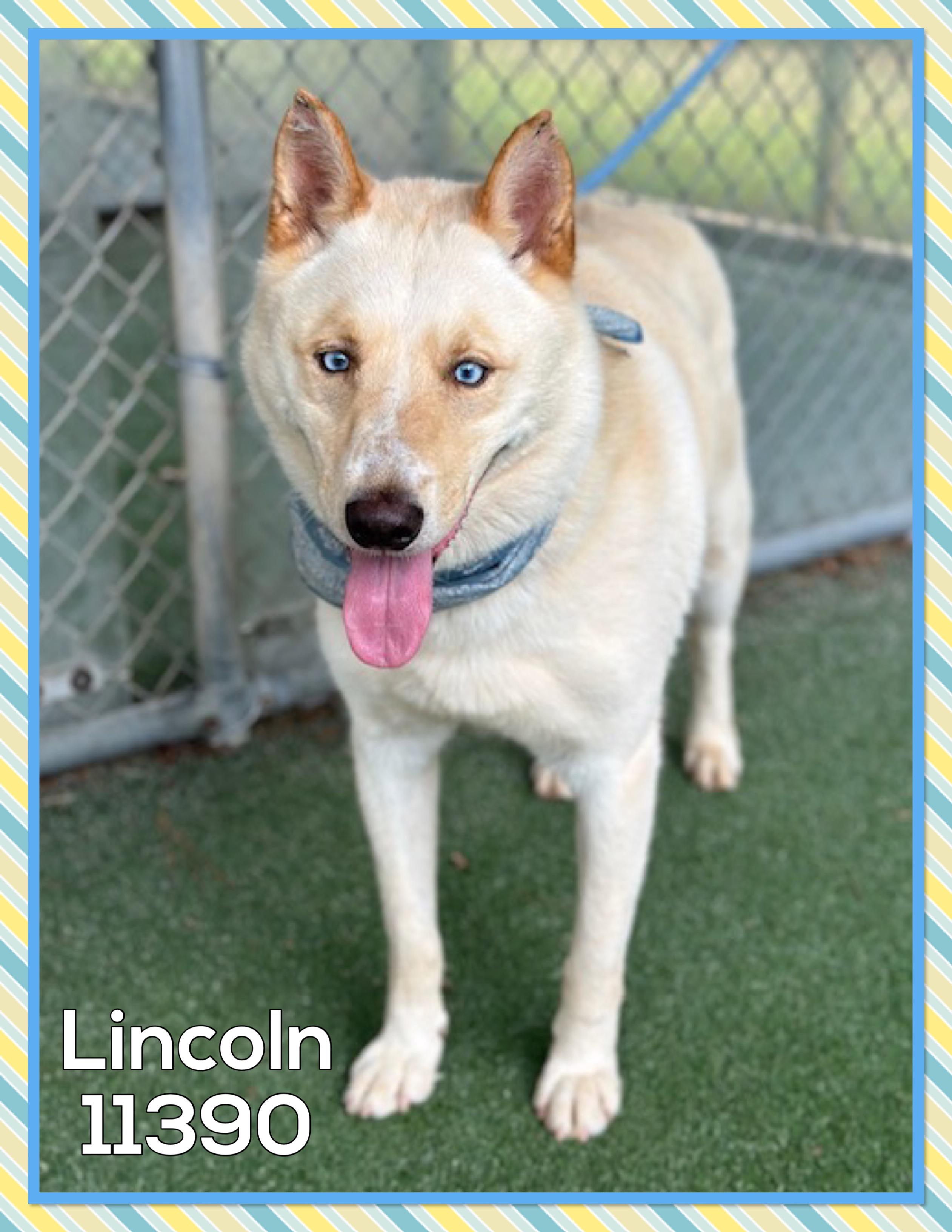 LINCOLN