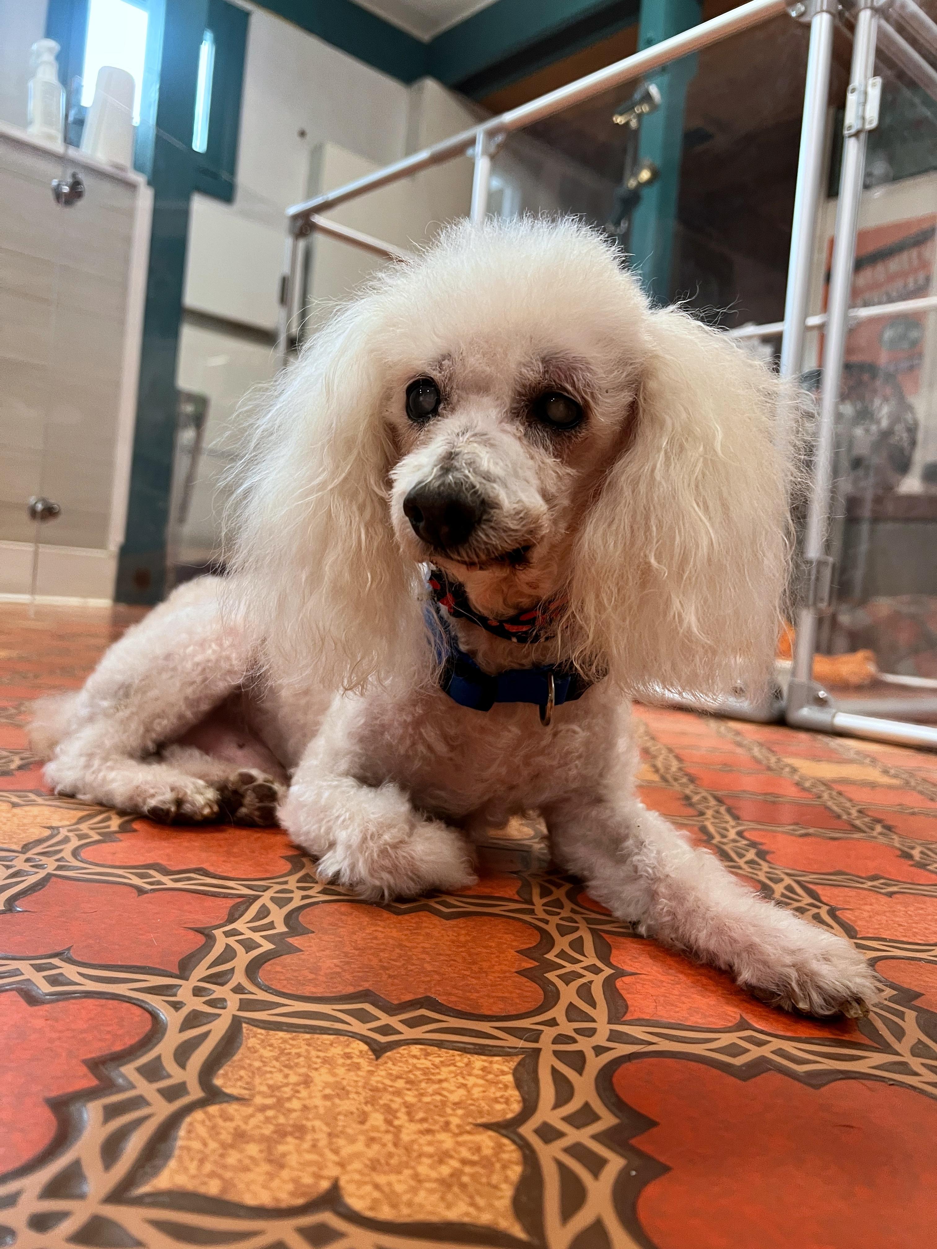 Pistachio thumbnail 2