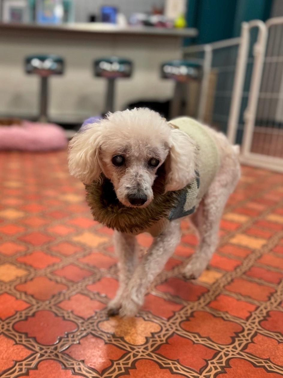 Pistachio thumbnail 4