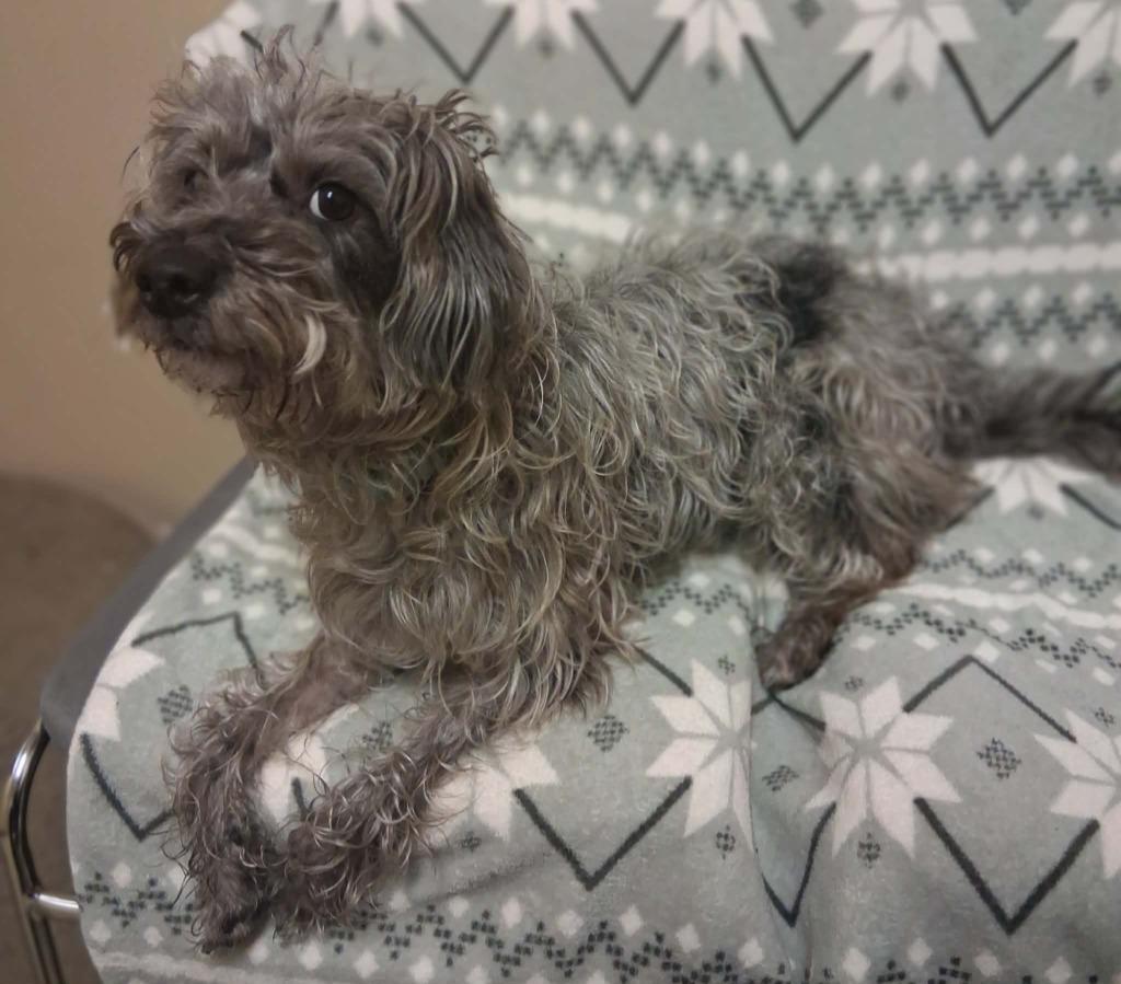 Florence thumbnail 2