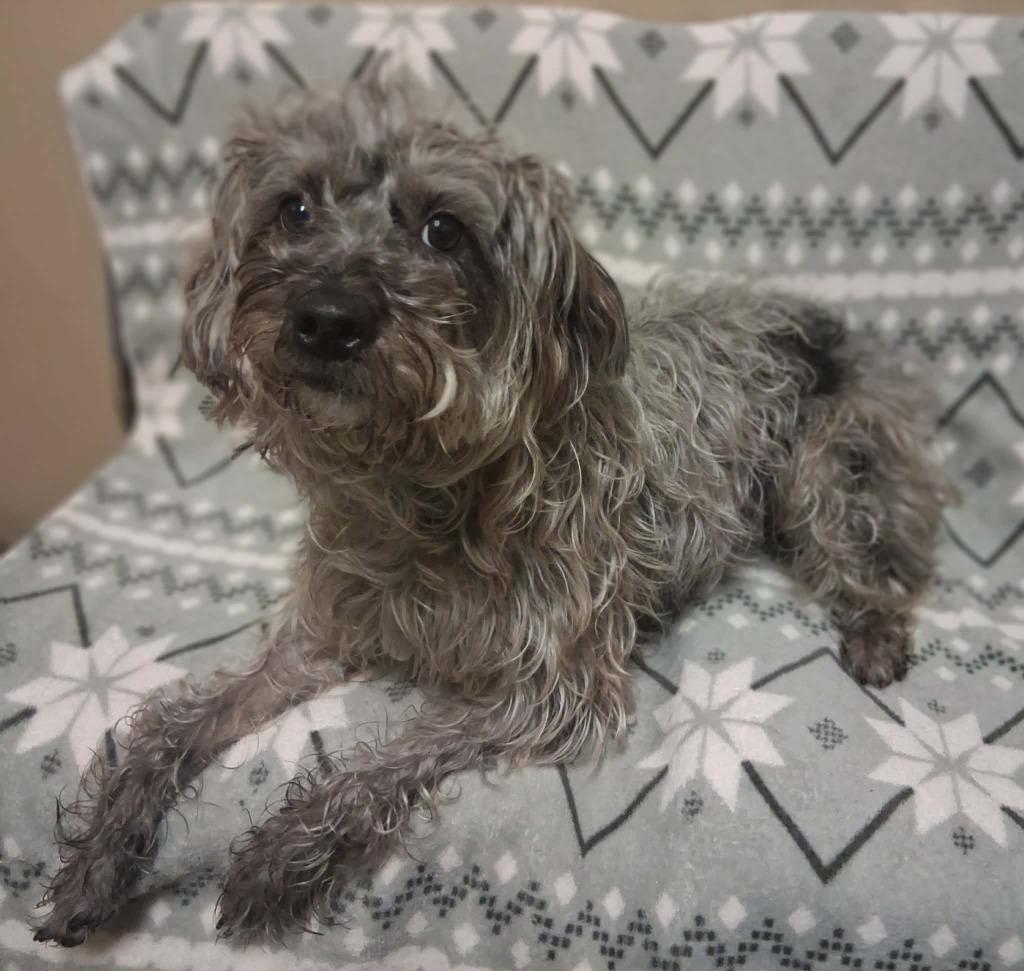 Florence thumbnail 3