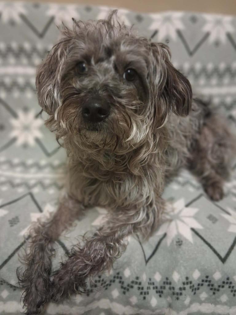 Florence thumbnail 4