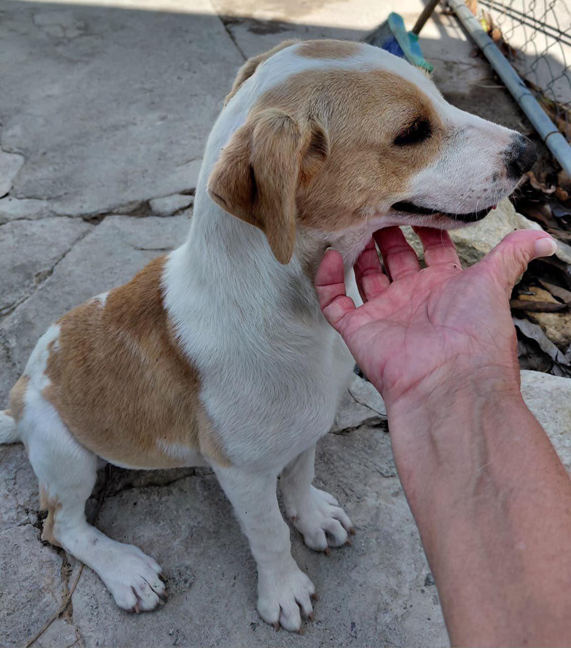 Moana (20260110-09) — thumbnail 2