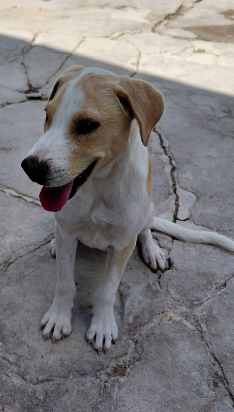 Moana (20260110-09) — thumbnail 4