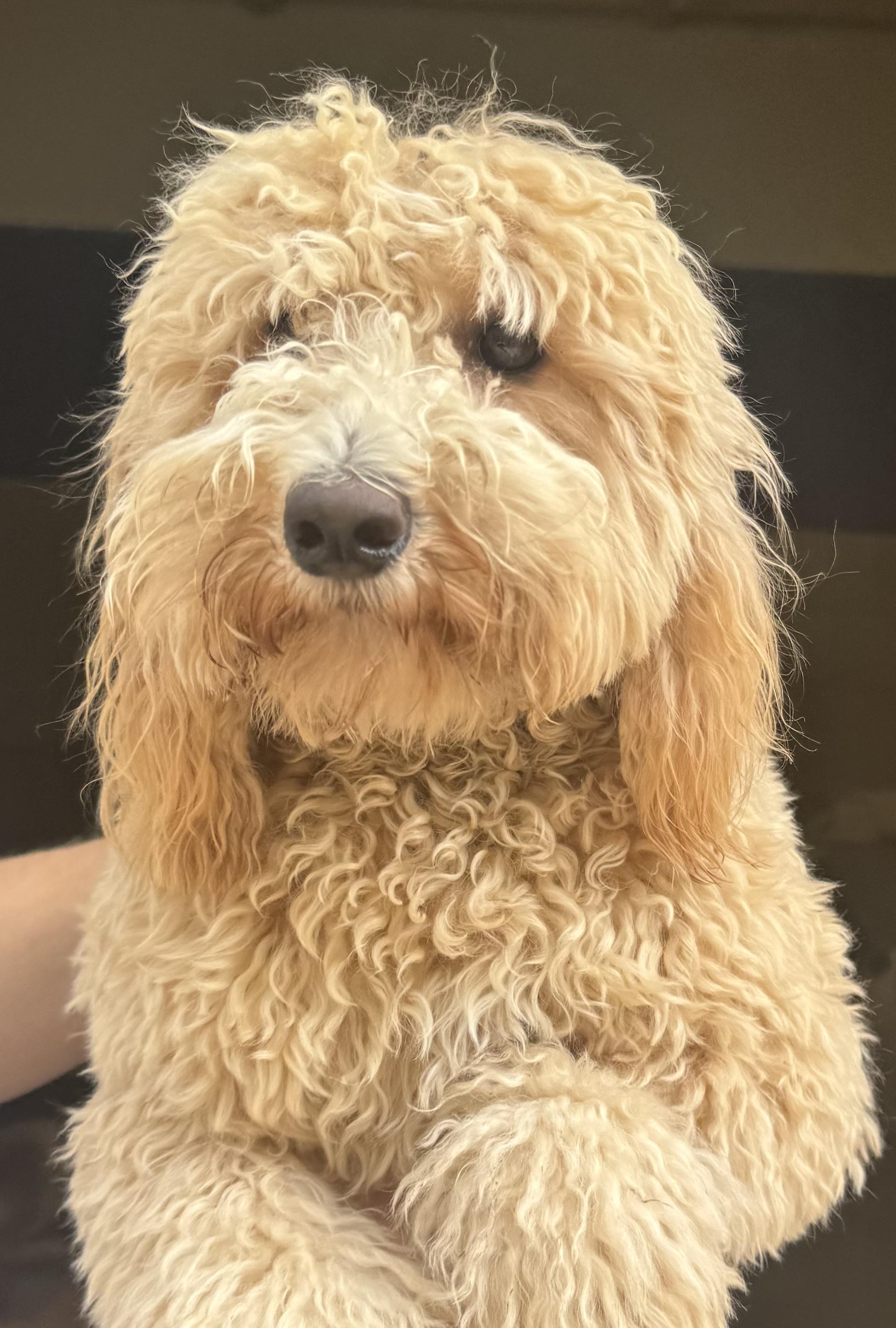 Mia