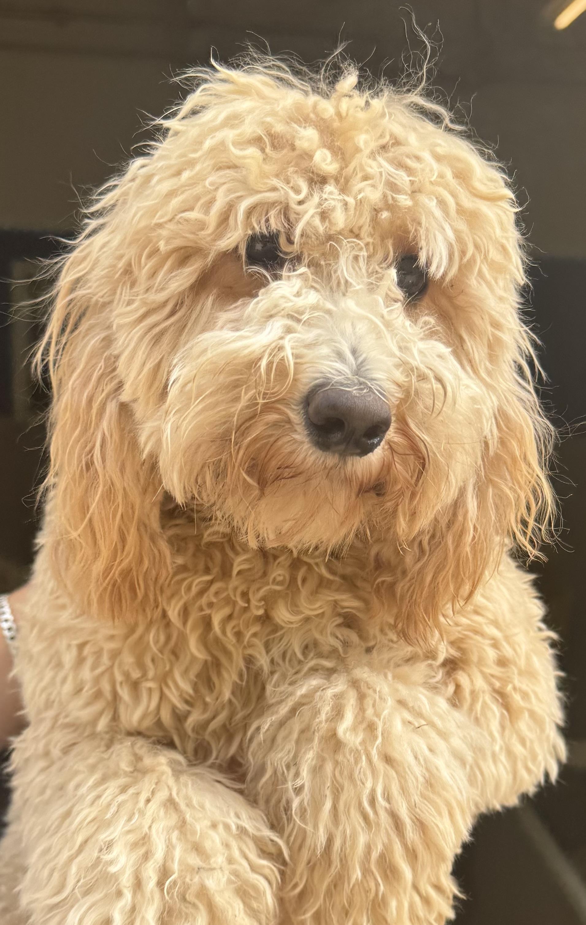 Mia