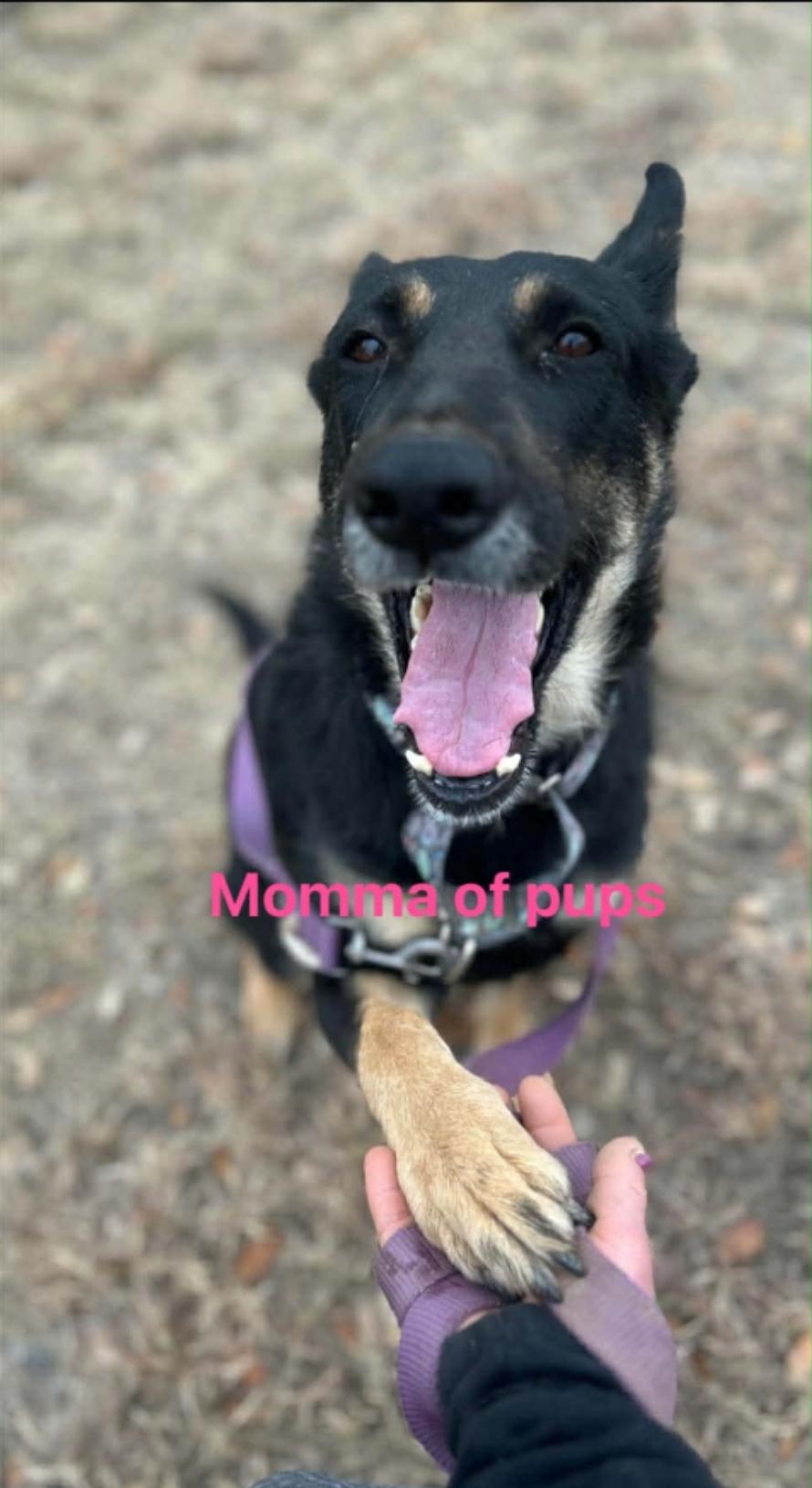 Bessie Coleman — thumbnail 5