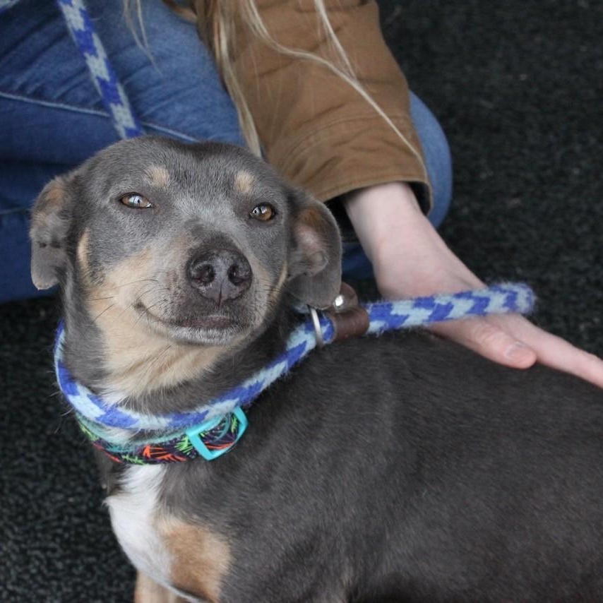 Kagome — thumbnail 3