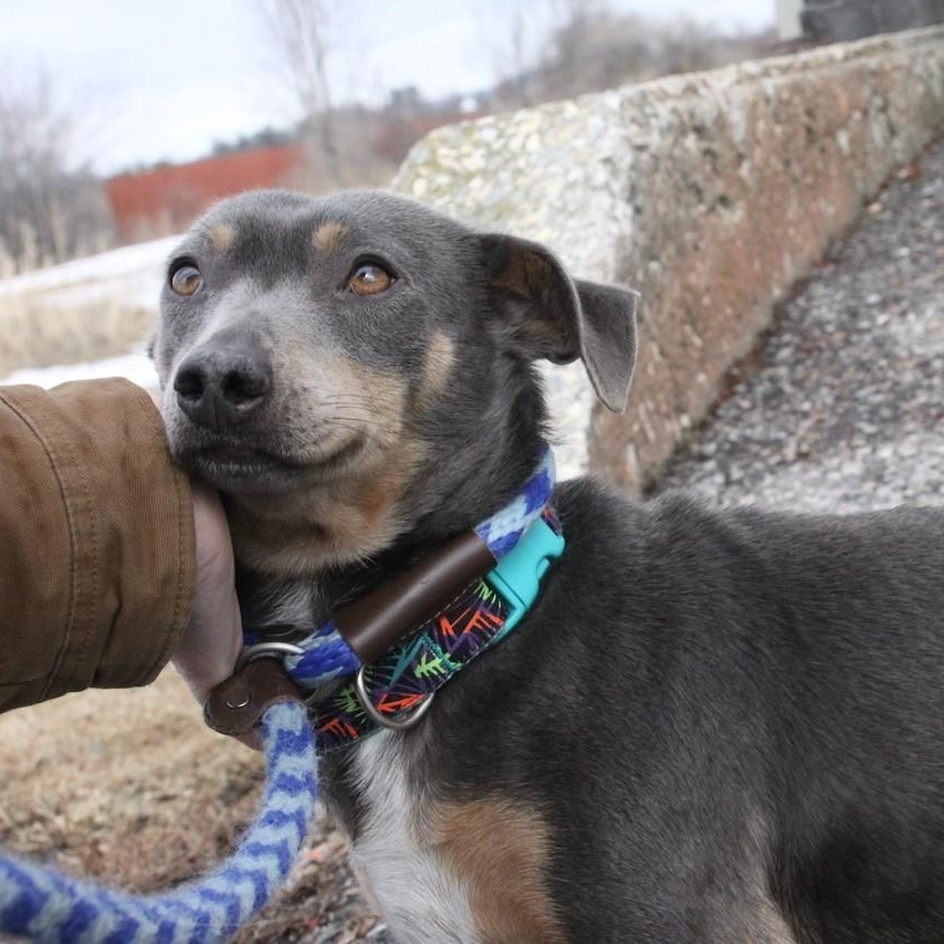 Kagome — thumbnail 6