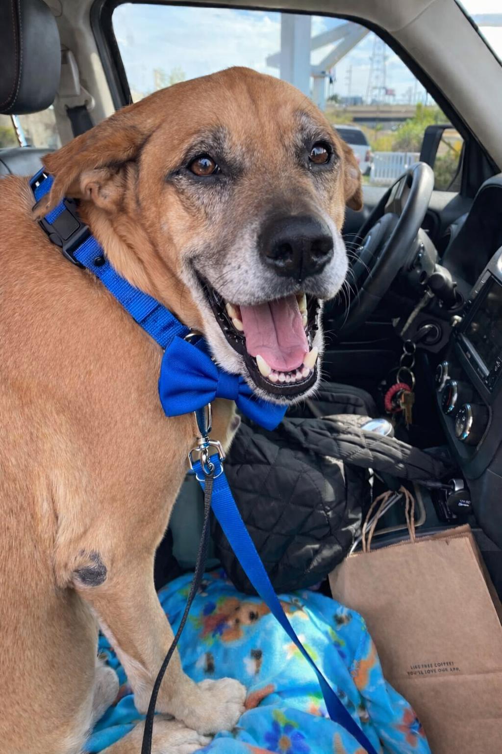 Matt — thumbnail 2