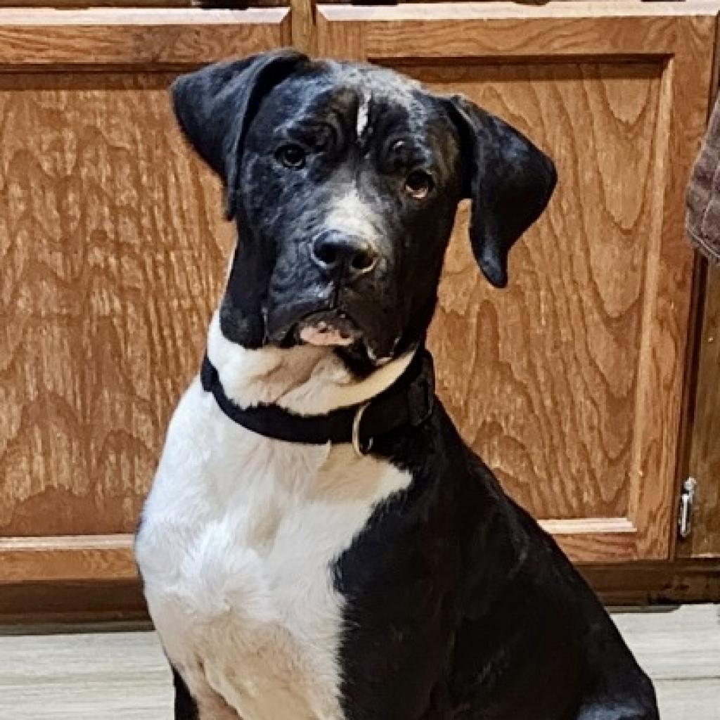 Bruno Mars thumbnail 3