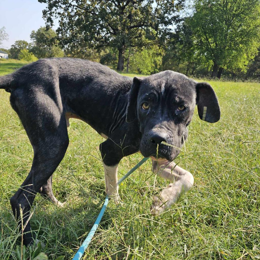 Bruno Mars thumbnail 4