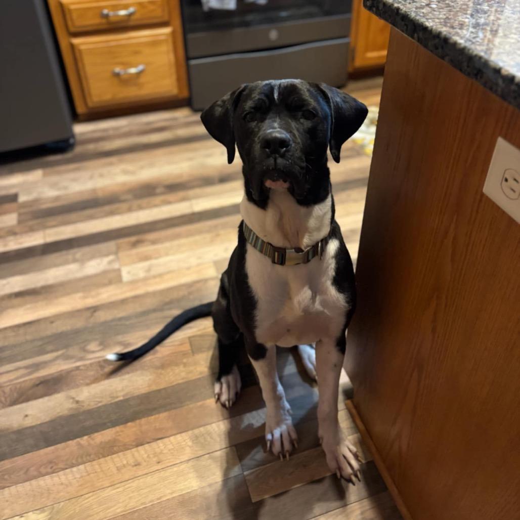 Bruno Mars thumbnail 5