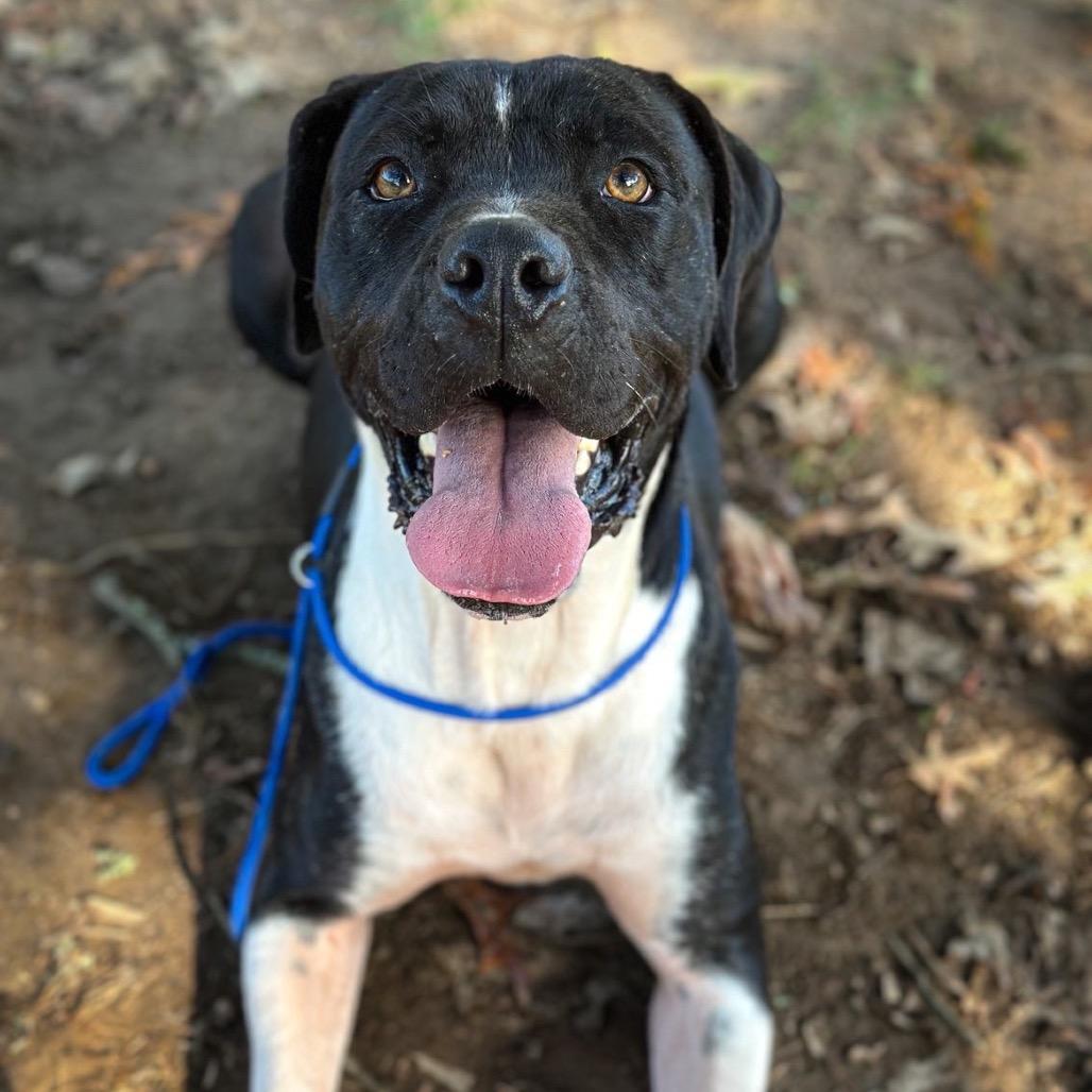 Bruno Mars thumbnail 7