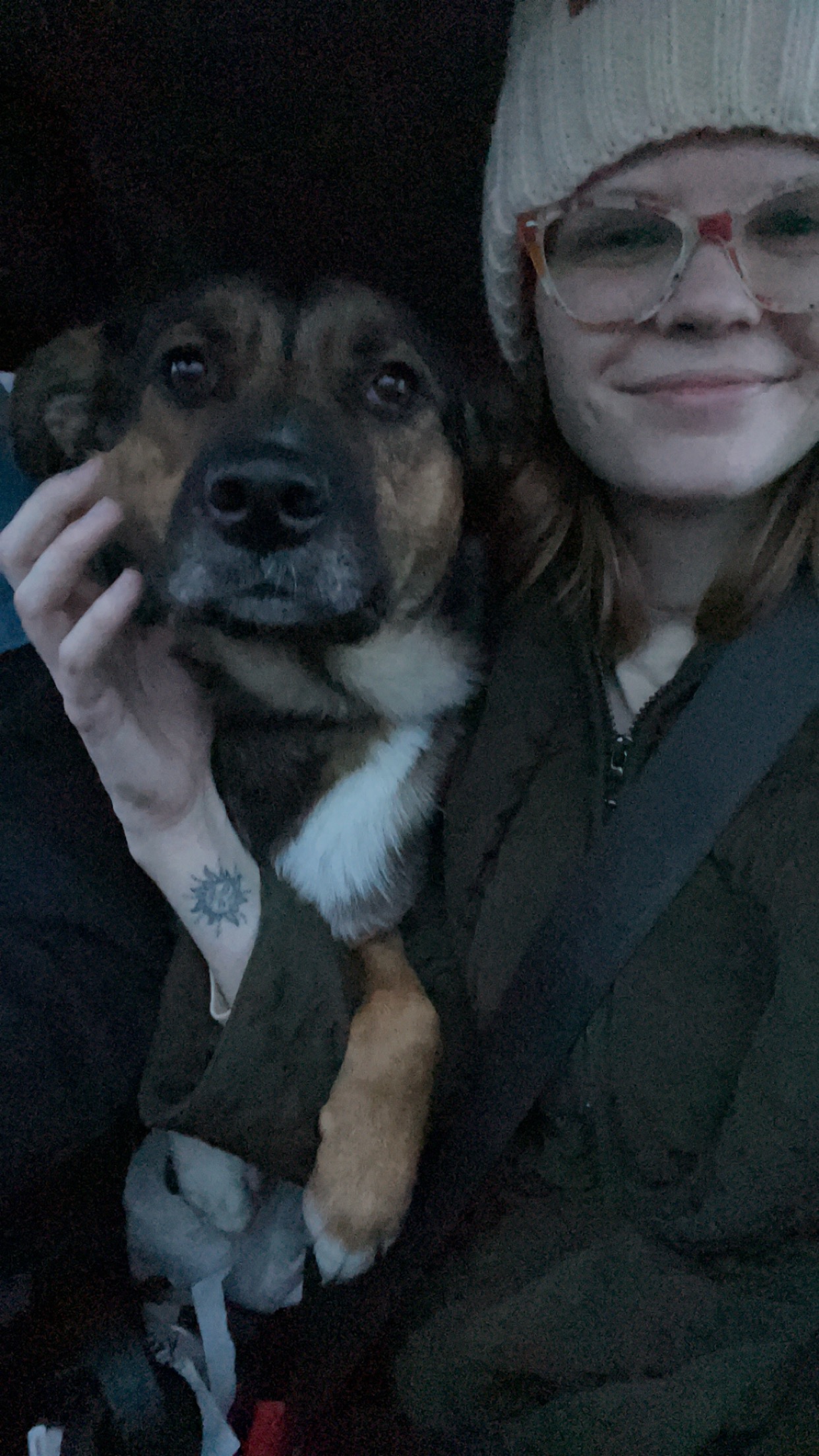 Enlarge Millie, a Adoptable mixed breed in Holly, MI image 5/6