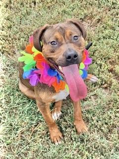 Elizabeth thumbnail 2