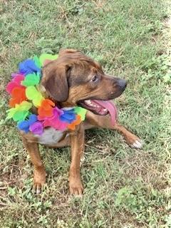 Elizabeth thumbnail 4