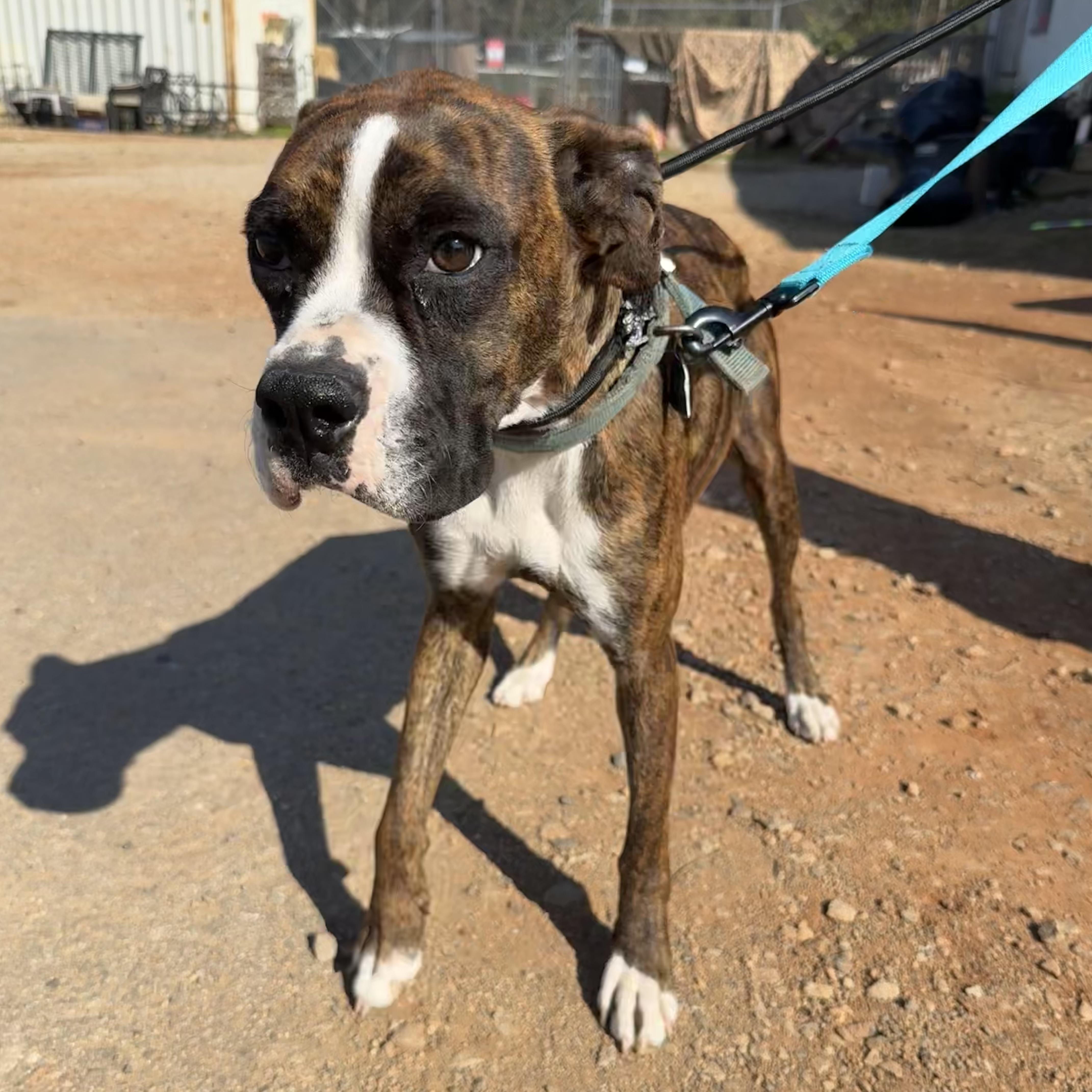 Puzzle — thumbnail 3