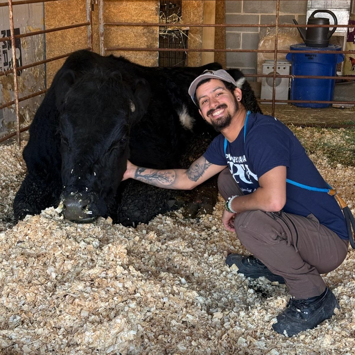 Enlarge TT, a Adopted Angus in Danville, PA image 4/4