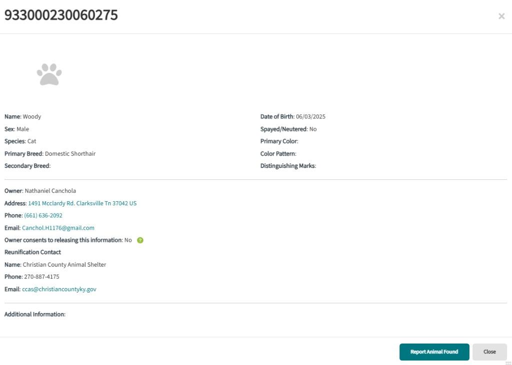 Enlarge Woody, a Adoptable mixed breed in Clarksville, TN image 3/4