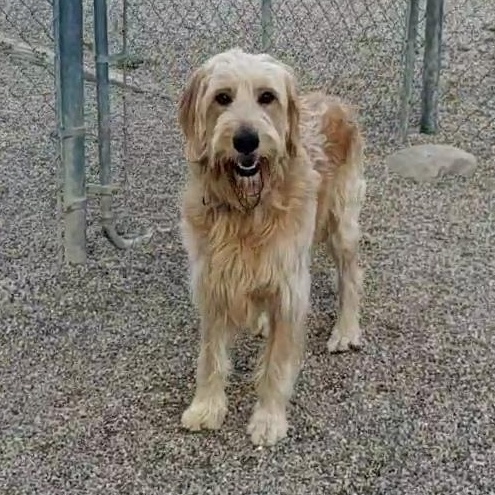 Milo