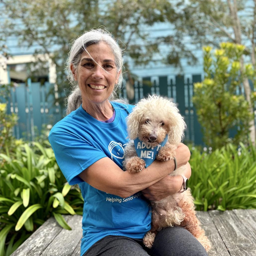 Mimi, a Adoptable Poodle in Corpus Christi, TX image 6/6