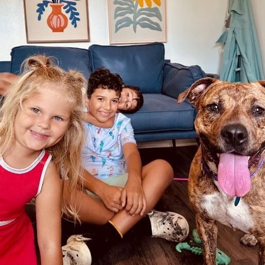 Ansley the fetch queen 2