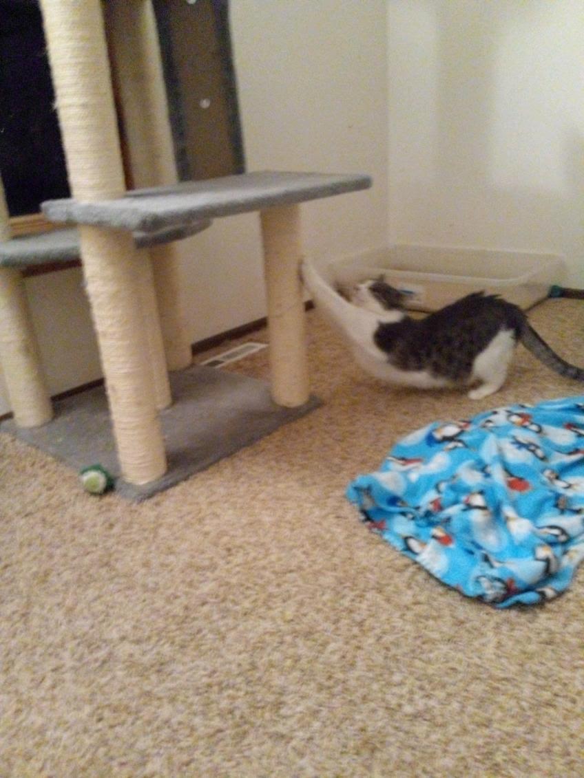 Dash photo 2