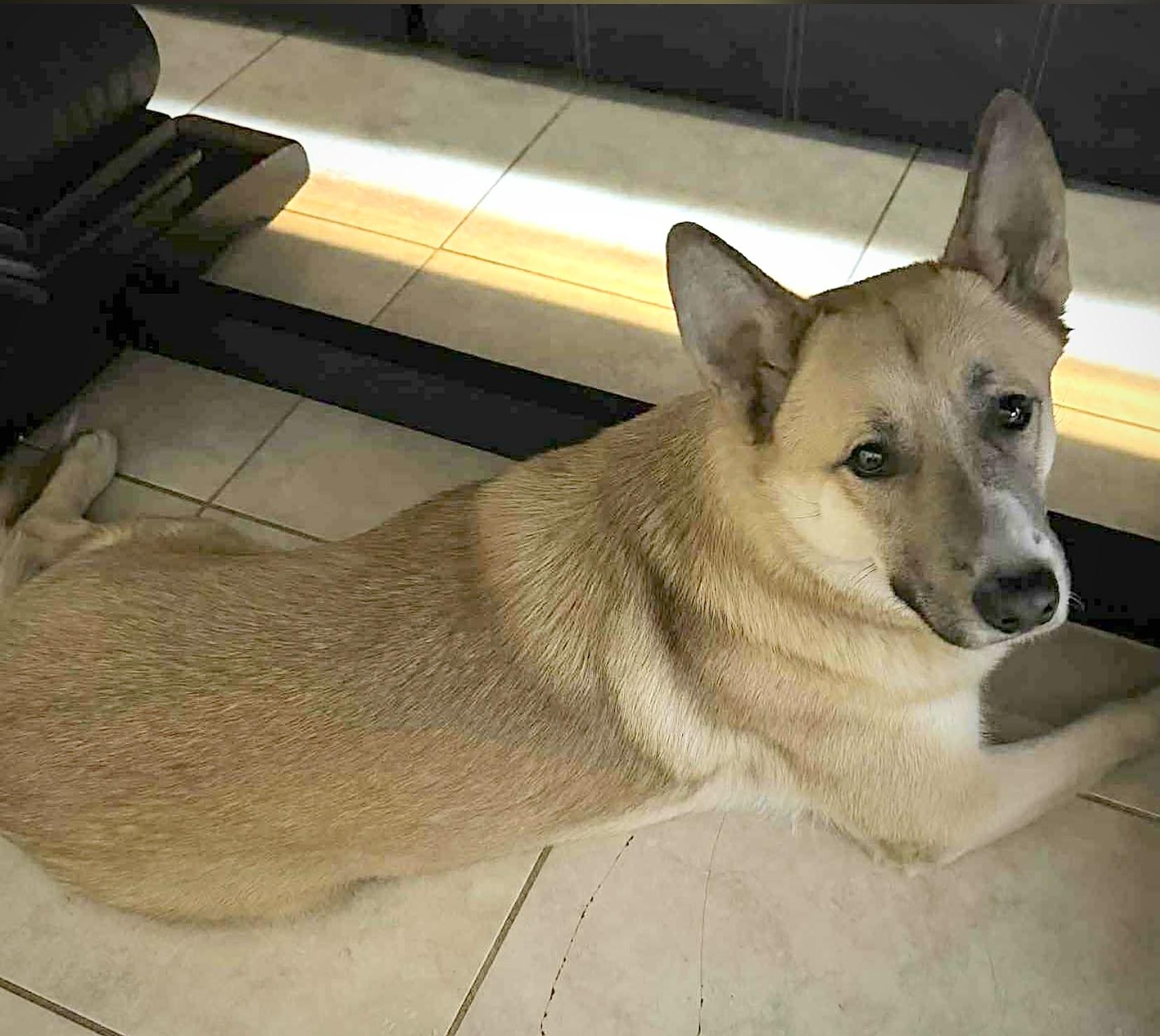 Yoti — thumbnail 3