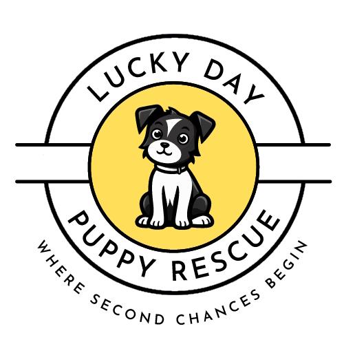Lucky Day Puppy Rescue of Georgia
