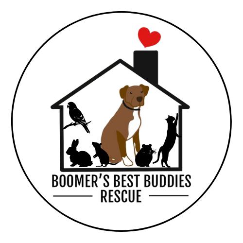 Boomer's Best Buddies Rescue