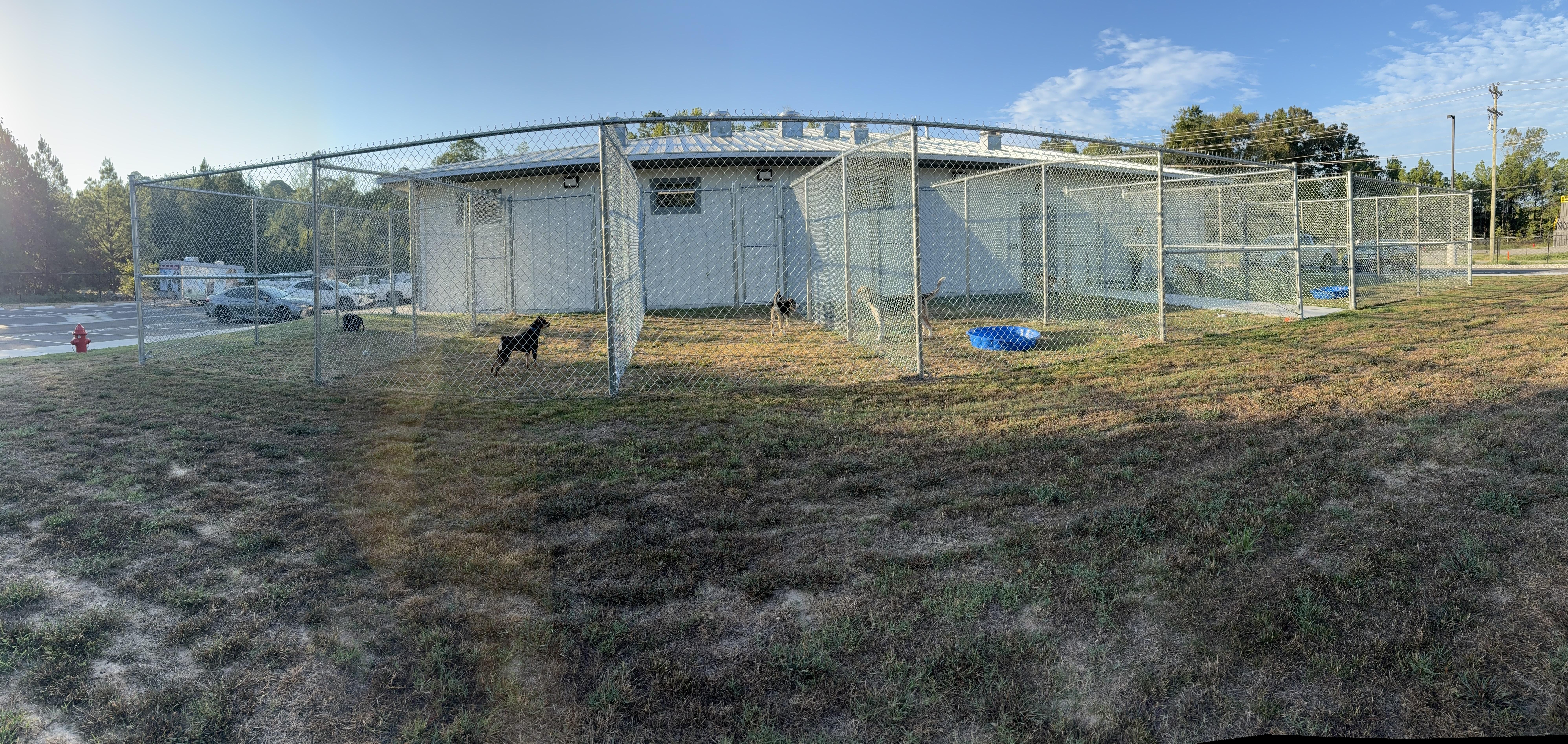 Benton Animal Services photo 1