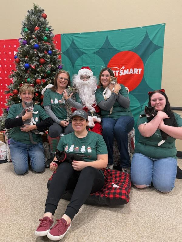 Momma Jen's Fosters Cat Rescue