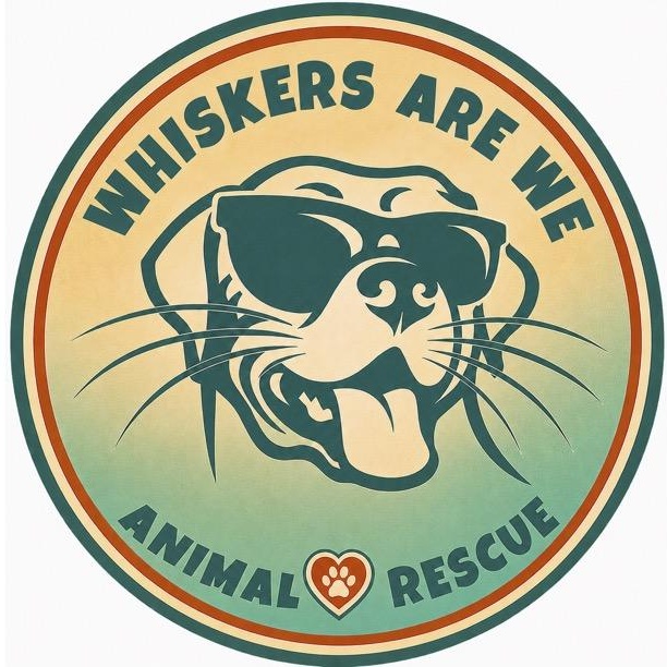 Whiskers Are We Animal Rescue