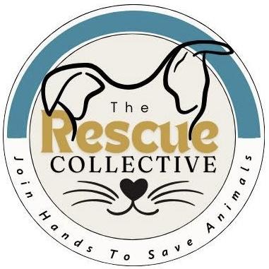 The Rescue Collective Foundation