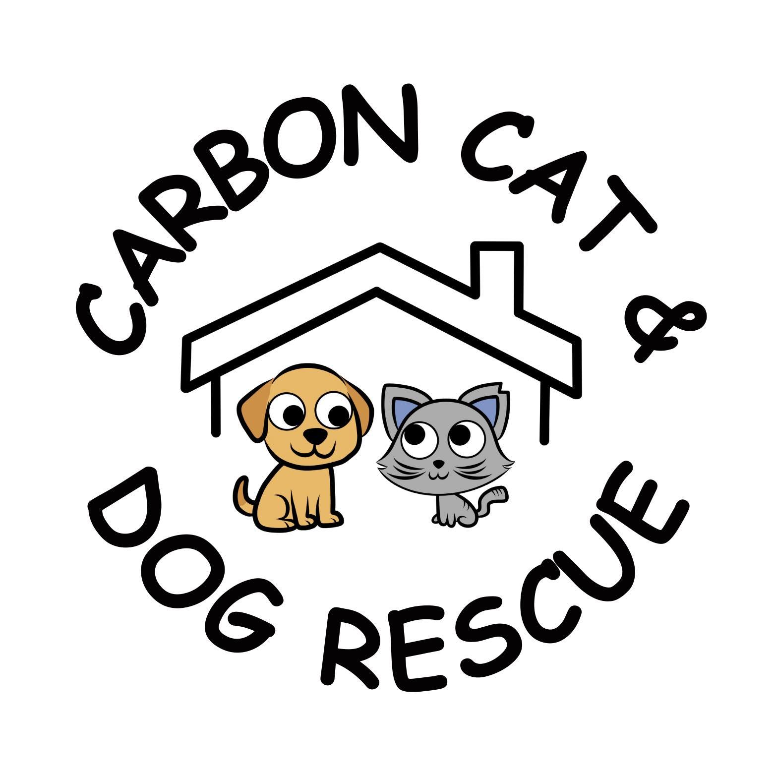 Carbon Cat Rescue