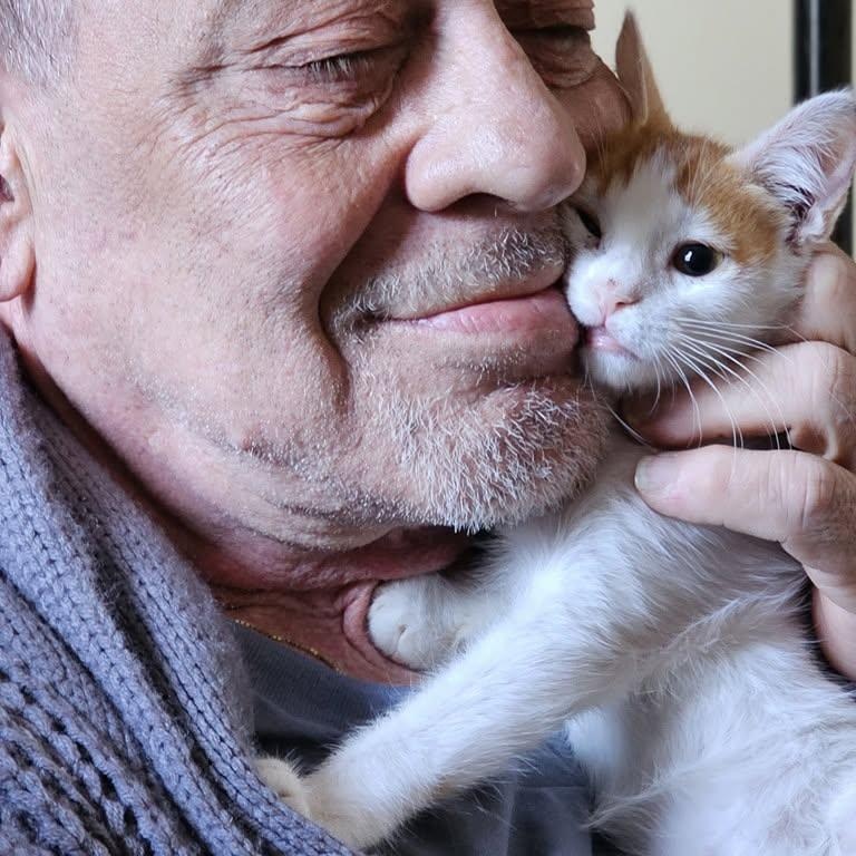 Caring Animal Rescue INC photo 3