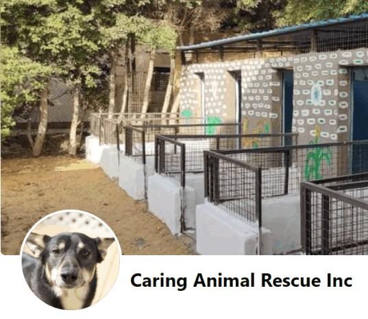 Caring Animal Rescue INC