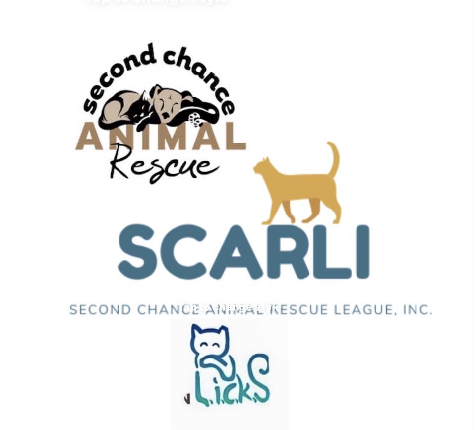 Long Island Cat & Kitten Solution