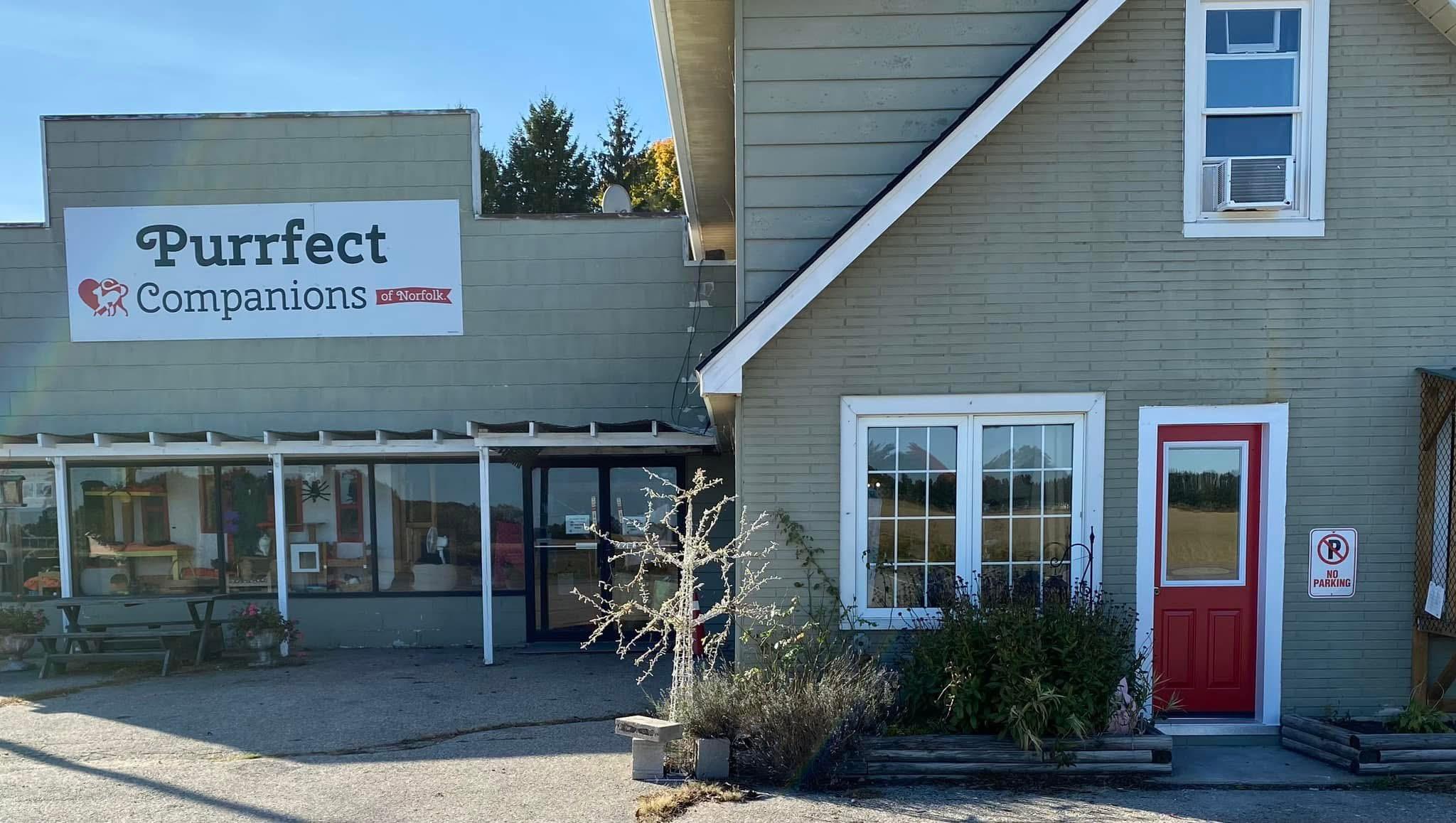 Purrfect Companions of Norfolk Cat Rescue and Adoptions