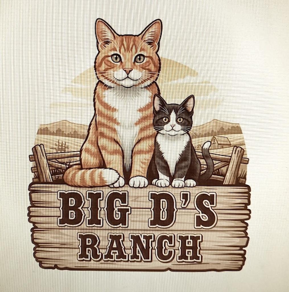 Big D's Ranch