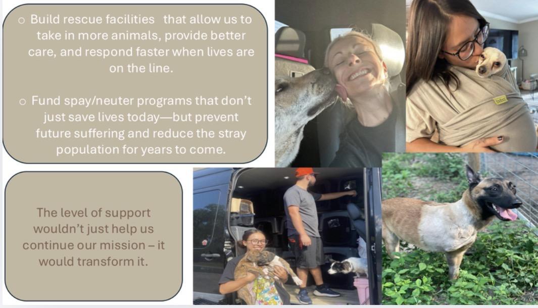 Texas Rescue Project photo 4