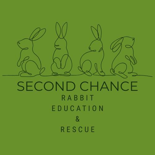 Second Chance Rabbit Education and Rescue