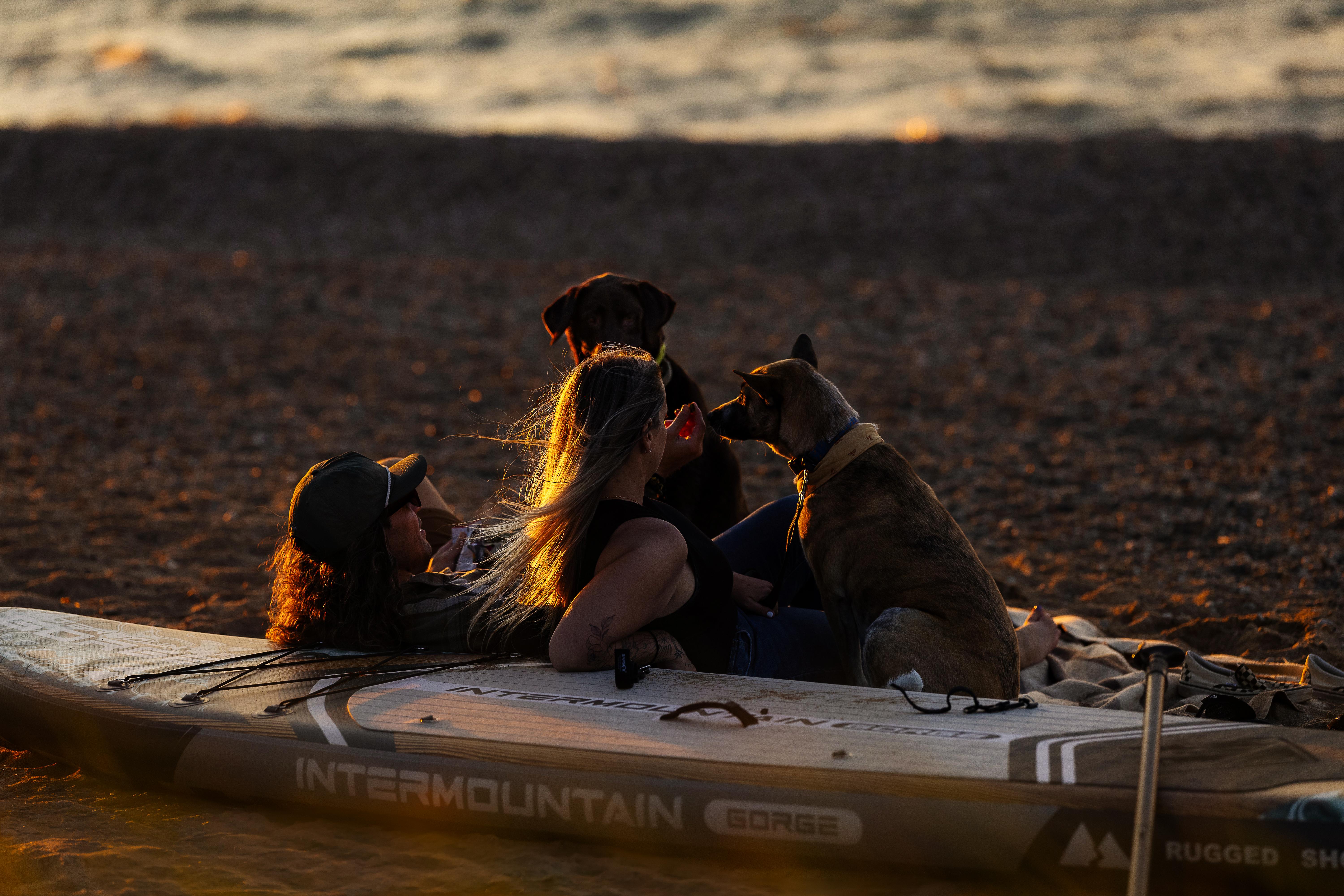 Eddy's Nomads Dog Rescue photo 5